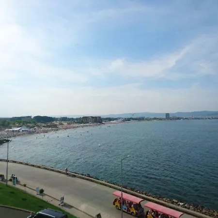 Paradizo * 네세부르